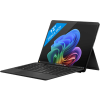 Koop Microsoft Surface Pro 11 Snapdragon X Plus / 16GB / 512GB Black (No charger) - 196388419425